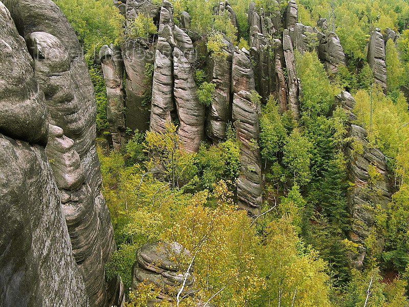 czech517: Czech Republic - Broumov area - Nachod District: pinnacles and forest - Broumovske steny - Hradec Kralove Region - photo by J.Kaman - (c) Travel-Images.com - Stock Photography agency - Image Bank