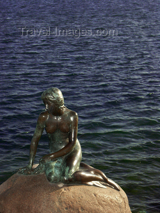 denmark64: Copenhagen / København / CPH, Denmark: Hans Christian Anderson's Little Mermaid - Den Lille Havfrue - photo by G.Friedman - (c) Travel-Images.com - Stock Photography agency - Image Bank