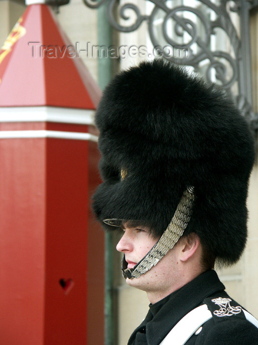 Denmark - Copenhagen / / CPH: guard at the Slot - tall fur hat - photo G.Friedman - Travel-Images.com