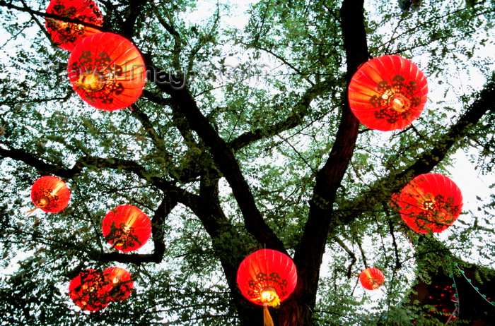 denmark71: Copenhagen, Denmark: Chinese paper lanterns hanging on tree in Tivoli gardens, low angle view - photo by K.Gapys - (c) Travel-Images.com - Stock Photography agency - Image Bank