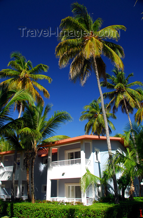 dominican164: Punta Cana, Dominican Republic: accommodation units and coconut trees - Riu Bambu hotel - Arena Gorda Beach - photo by M.Torres - (c) Travel-Images.com - Stock Photography agency - Image Bank