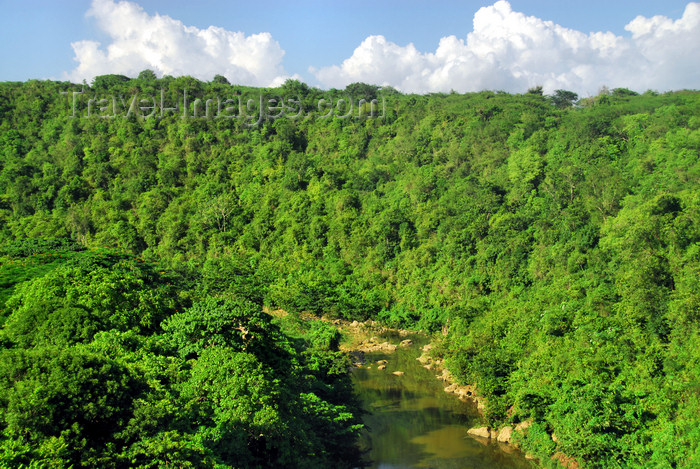 dominican228: La Romana, Dominican Republic: river and forest west of the city - photo by M.Torres - (c) Travel-Images.com - Stock Photography agency - Image Bank