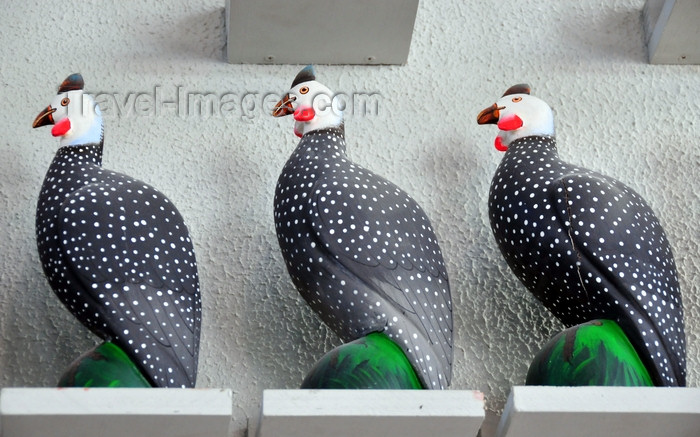 dominican264: El Catey, Samaná province, Dominican republic: guineafowls - Dominican handicrafts - Samaná El Catey International Airport - photo by M.Torres - (c) Travel-Images.com - Stock Photography agency - Image Bank