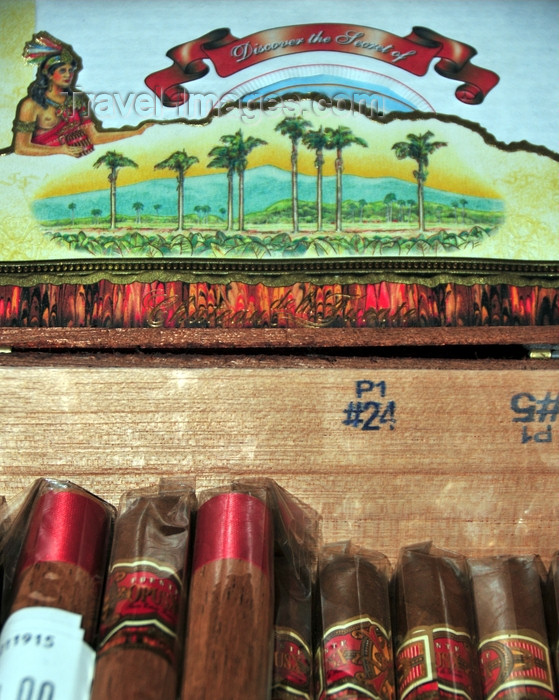 dominican277: El Catey, Samaná province, Dominican republic: Arturo Fuente OpusX Cigars - Chateau de la Fuente - Samaná El Catey International Airport - photo by M.Torres - (c) Travel-Images.com - Stock Photography agency - Image Bank