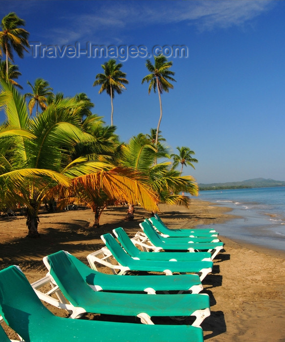 dominican347: Río San Juan, María Trinidad Sánchez province, Dominican republic: beach chairs and young coconut trees - photo by M.Torres - (c) Travel-Images.com - Stock Photography agency - Image Bank