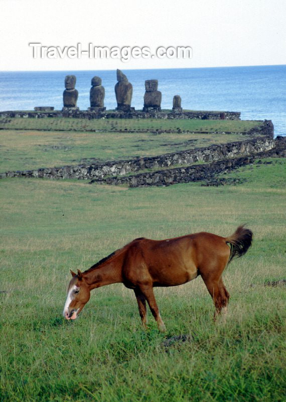 easter6: Easter Island - Ahu Tahai: horse in the fields near the port town of Hanga Roa - moais in the background - Rapa Nui - Ilha da Pascoa, Isla de Pascua - photo by Rod Eime - (c) Travel-Images.com - Stock Photography agency - Image Bank