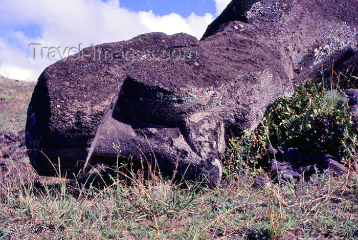 easter9: Easter Island - Rano Raraku: unfinished statue 21 m long - photo by G.Frysinger - (c) Travel-Images.com - Stock Photography agency - Image Bank