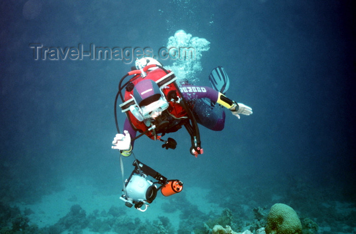 egypt-u40: Egypt - Red Sea - dip in the Red Sea - scuba diving - underwater photo by W.Allgöwer - Frau beim Sporttauchen. Im Vordergrund stehen dabei körperliche Betätigung und Spaß. Die Ausbildung wird von verschiedenen Organisationen, in Deutschland etwa dem VDST  - (c) Travel-Images.com - Stock Photography agency - Image Bank