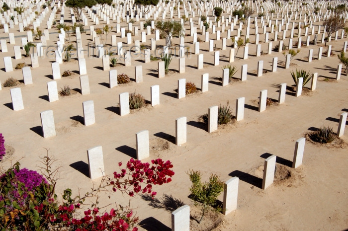 egypt139: Egypt - El Alamein:  WW2 commonwealth war cemetery - tomb stones - military graveyard - photo by  J.Wreford - (c) Travel-Images.com - Stock Photography agency - Image Bank