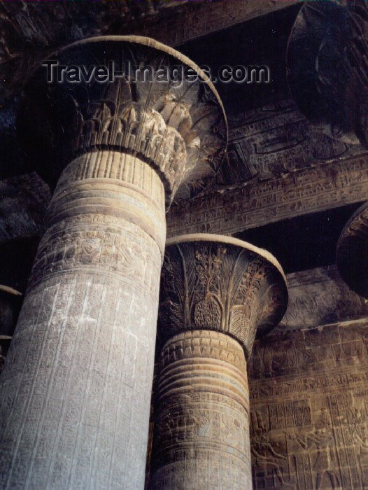 egypt23: Esna, Qena Governorate, Egypt: columns at Khounum / Khnum temple - photo by M.Torres - (c) Travel-Images.com - Stock Photography agency - Image Bank