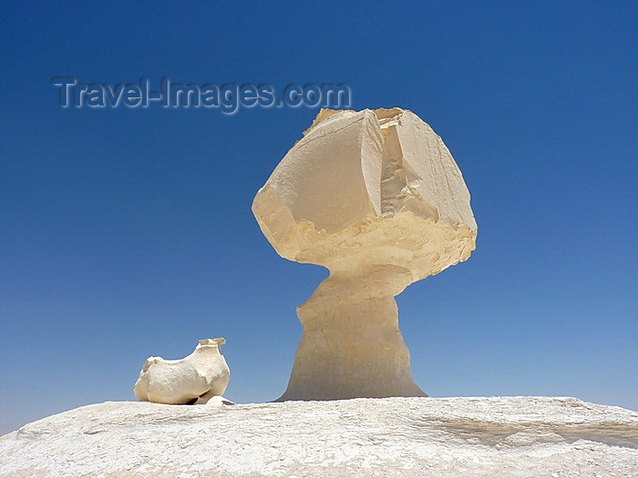 egypt252: White Desert National Park / Sahara el Beyda, New Valley Governorate, Egypt: mushroom formations created by wind and sand - photo by J.Kaman - (c) Travel-Images.com - Stock Photography agency - Image Bank