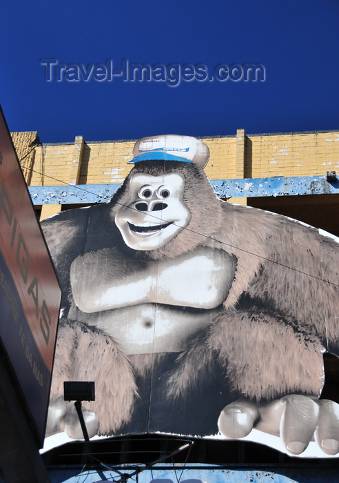 el-salvador2: San Salvador, El Salvador, Central America: gorilla sign on 6a calle poniente - photo by M.Torres - (c) Travel-Images.com - Stock Photography agency - Image Bank