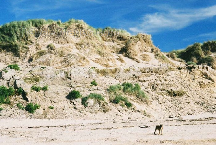 england117: England (UK) - Formby (Merseyside): sand dunes - photo by D.Jackson - (c) Travel-Images.com - Stock Photography agency - Image Bank