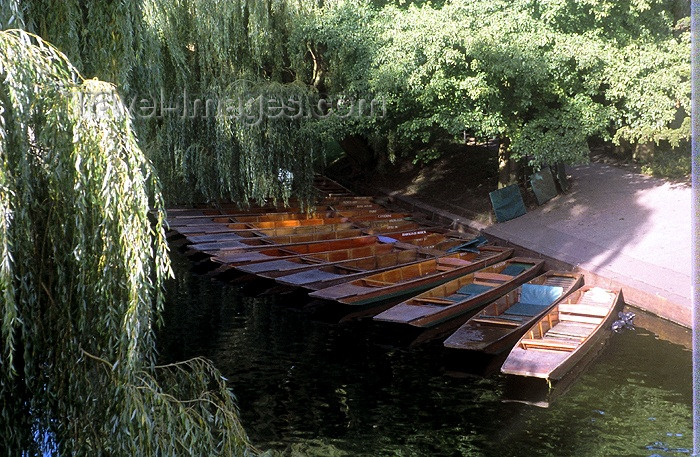england176: England (UK) - Cambridge  (Cambridgeshire): Cambridge: punts and weeping willows - river Cam - photo by A.Sen - (c) Travel-Images.com - Stock Photography agency - Image Bank