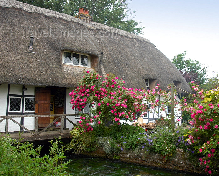 england278: England (UK) - Alresford (Hampshire): English cottage - photo by T.Marshall - (c) Travel-Images.com - Stock Photography agency - Image Bank