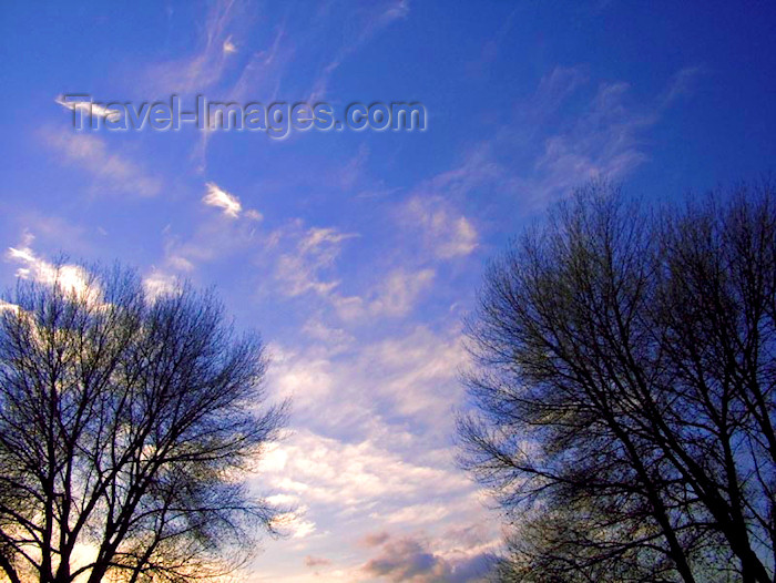 england345: UK - England - Warrington: Evening sky and trees - school grounds - Latchford - photo by D.Jackson - (c) Travel-Images.com - Stock Photography agency - Image Bank