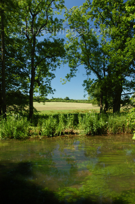 england355: Romsey, Hampshire, South East England, UK: River Test - photo by T.Marshall - (c) Travel-Images.com - Stock Photography agency - Image Bank