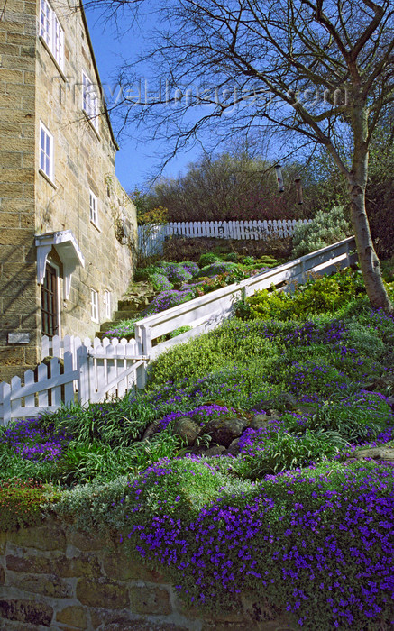 england507: Robin Hood's Bay, North Yorkshire, England: Flagstaff Cottage garden - photo by D.Jackson - (c) Travel-Images.com - Stock Photography agency - Image Bank