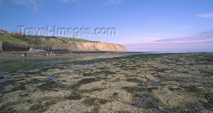 england511: Robin Hood's Bay, North Yorkshire, England: low tide - photo by D.Jackson - (c) Travel-Images.com - Stock Photography agency - Image Bank