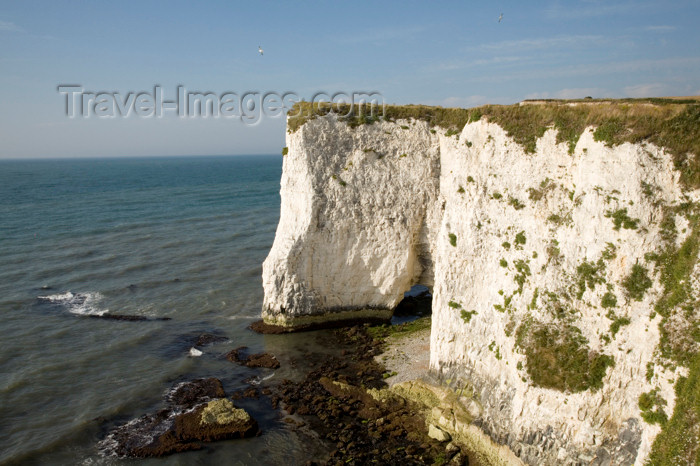 england547: Old Harry Rocks, Jurassic Coast, Dorset, England: white cliffs over the English Channel - UNESCO World Heritage Site - photo by I.Middleton - (c) Travel-Images.com - Stock Photography agency - Image Bank