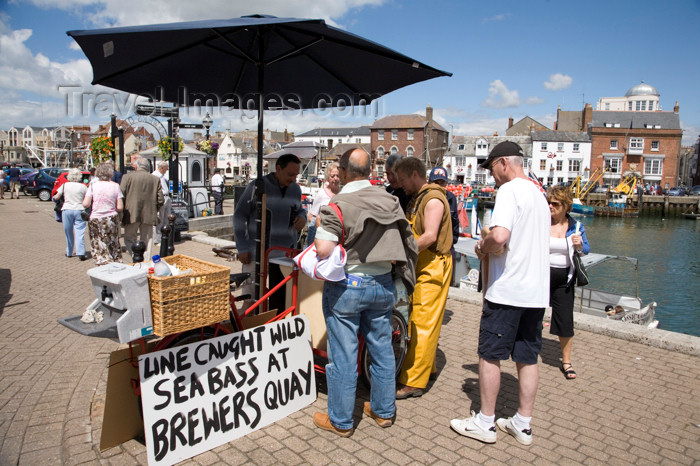 england563: Weymouth, Dorset, England: people buying fresh line caught sea bass off local man in Brewers Quay - photo by I.Middleton - (c) Travel-Images.com - Stock Photography agency - Image Bank