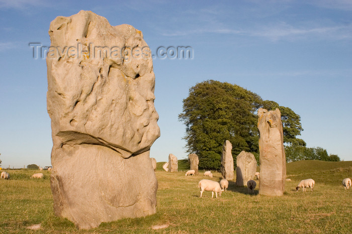 england696: Avebury, Wiltshire, South West England, UK: Avebury stone circle - Neolithic monument - UNESCO World Heritage Site - photo by I.Middleton - (c) Travel-Images.com - Stock Photography agency - Image Bank
