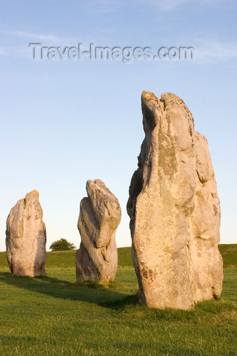 england699: Avebury, Wiltshire, South West England, UK: Avebury stone circle - part of the outer circle - UNESCO World Heritage Site - photo by I.Middleton - (c) Travel-Images.com - Stock Photography agency - Image Bank