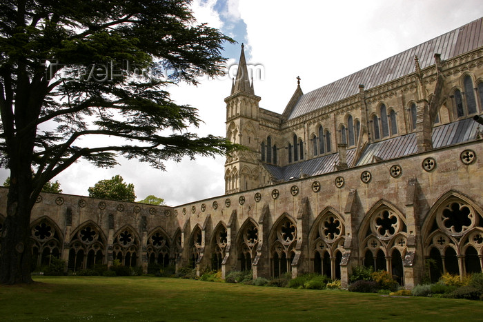 england704: Salisbury, Wiltshire, South West England, UK: Salisbury Cathedral - cloister - Church of England - photo by I.Middleton - (c) Travel-Images.com - Stock Photography agency - Image Bank