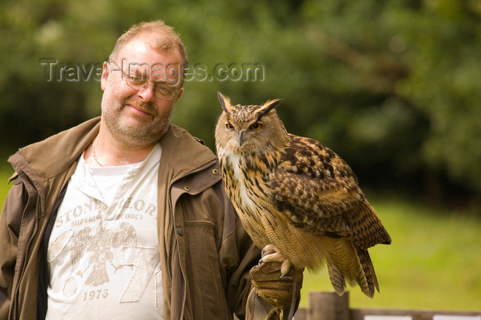 england729: Exmoor NP, Somerset, South West England, UK: visitor with great horned owl at Exmoor Falconry - photo by I.Middleton - (c) Travel-Images.com - Stock Photography agency - Image Bank