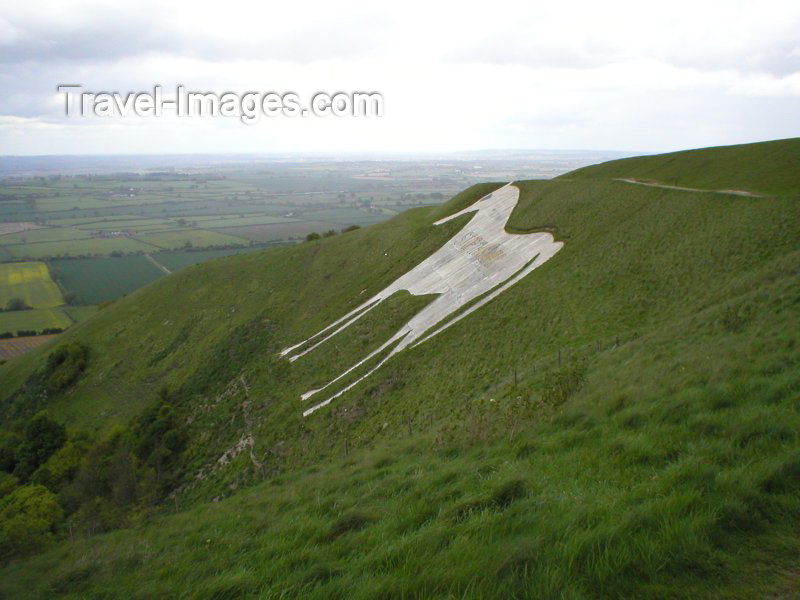 england79: Westbury (Wiltshire): the Westbury White Horse - photo by N.Clark - (c) Travel-Images.com - Stock Photography agency - Image Bank