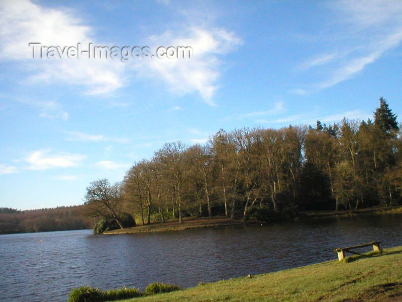 england80: Warminster (Wiltshire): Shearwater Lake - photo by N.Clark - (c) Travel-Images.com - Stock Photography agency - Image Bank