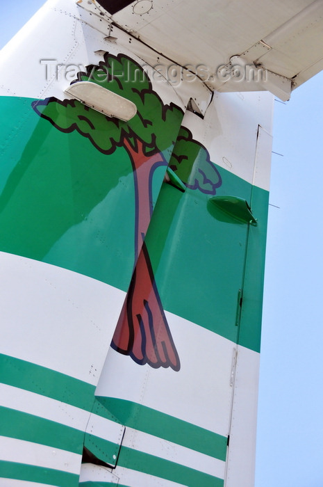 equatorial-guinea6: Bioko / Fernando Pó island, Equatorial Guinea: Malabo - Ceiba tree on the tail of a Ceiba Intercontinental ailines ATR 72-212A at the airport - logo - photo by M.Torres - (c) Travel-Images.com - Stock Photography agency - Image Bank