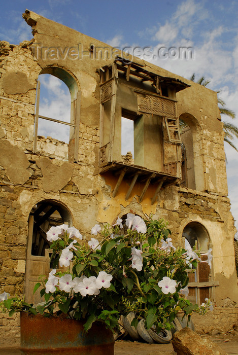 eritrea23: Eritrea - Massawa, Northern Red Sea region: flowers and ruins in the old area of the city - photo by E.Petitalot - (c) Travel-Images.com - Stock Photography agency - Image Bank