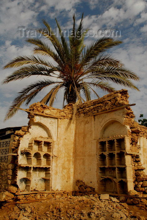 eritrea27: Eritrea - Massawa / Mitsiwa / Massaua / Batsi, Northern Red Sea region: palmtree and ruins in the old quarter - photo by E.Petitalot - (c) Travel-Images.com - Stock Photography agency - Image Bank