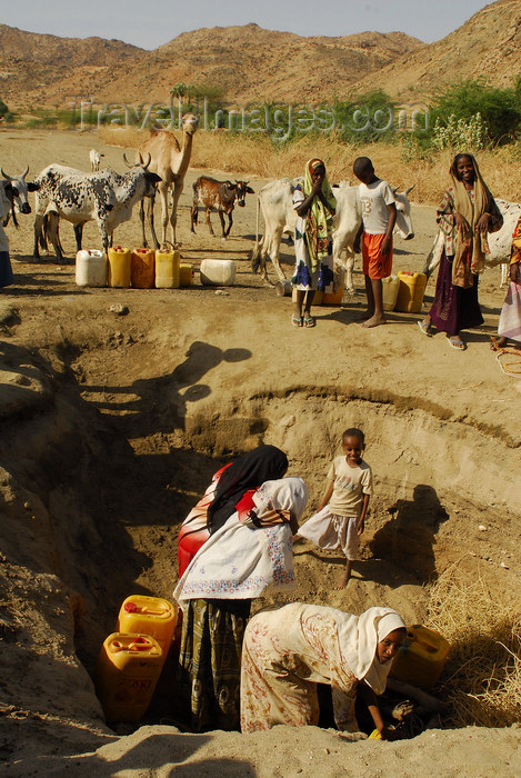 eritrea62: Eritrea - Hagaz, Anseba region - desert well - women drawing water - photo by E.Petitalot - (c) Travel-Images.com - Stock Photography agency - Image Bank