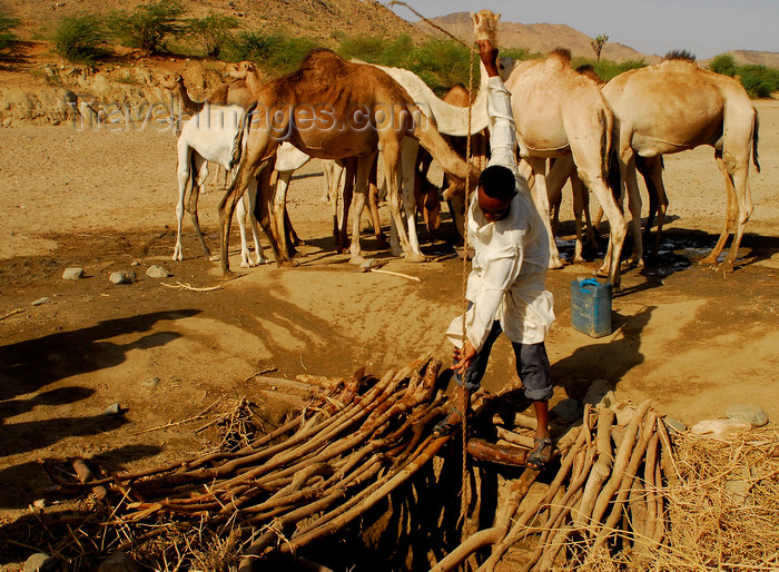 eritrea63: Eritrea - Hagaz, Anseba region - desert well - a man drawing water for his camels - photo by E.Petitalot - (c) Travel-Images.com - Stock Photography agency - Image Bank