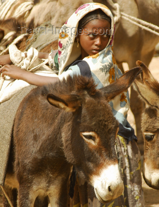 eritrea64: Eritrea - Senafe, Southern region: girl unloading her donkeys at the market - Saho people - photo by E.Petitalot - (c) Travel-Images.com - Stock Photography agency - Image Bank