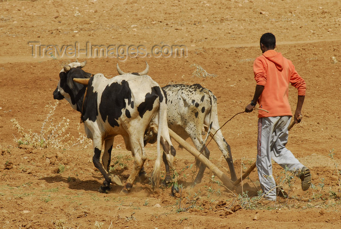 (c) Travel-Images.com - Stock Photography agency - the Global Image Bank