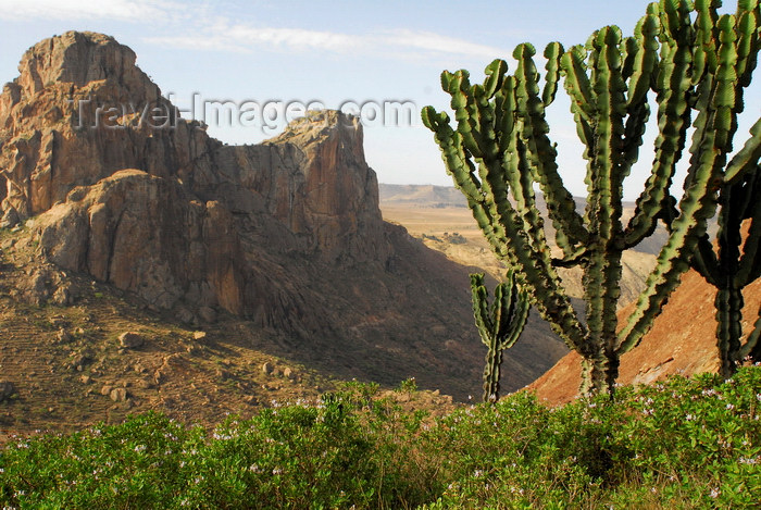 eritrea70: Eritrea - Senafe, Southern region: landscape of rocks and cacti - photo by E.Petitalot - (c) Travel-Images.com - Stock Photography agency - Image Bank