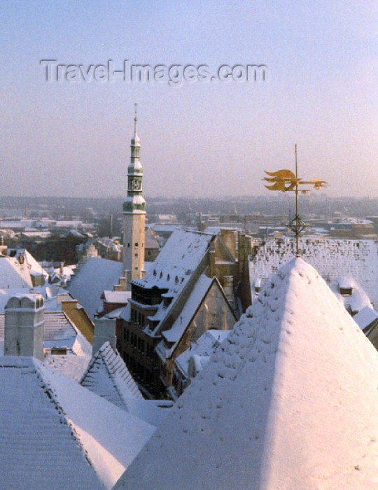estonia1: Estonia / Estonsko / Eesti - Tallinn / TLL / Reval: snow covered roofs of the old town - view from Toompea Hill - Unesco world heritage site / Tallinna vanalinn (Harjumaa province) - photo by M.Torres - (c) Travel-Images.com - Stock Photography agency - Image Bank