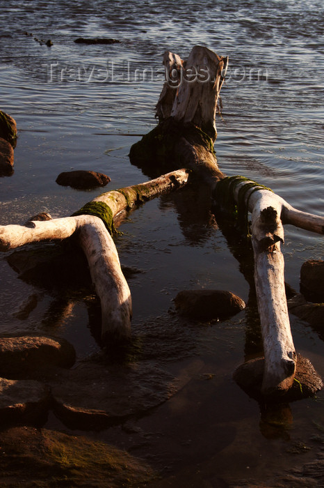 estonia149: Estonia - Parnu: Driftwood on the Jetty, Parnu Beach - photo by K.Hagen - (c) Travel-Images.com - Stock Photography agency - Image Bank