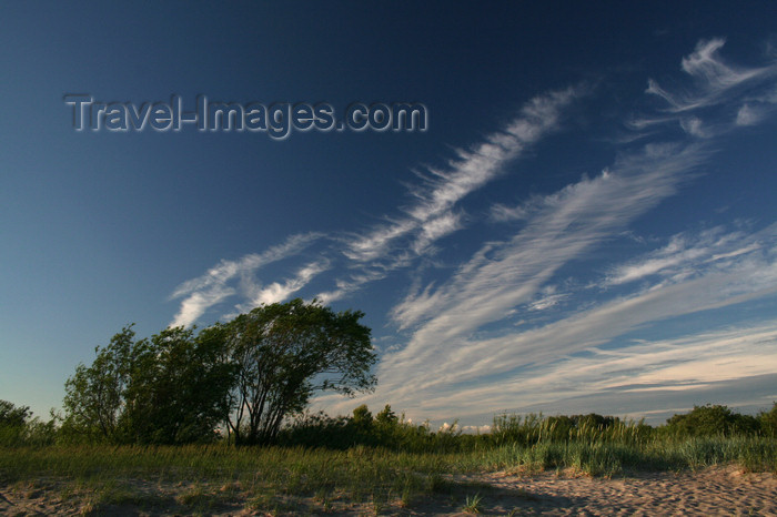 estonia152: Estonia - Parnu: Trees and Sky - photo by K.Hagen - (c) Travel-Images.com - Stock Photography agency - Image Bank