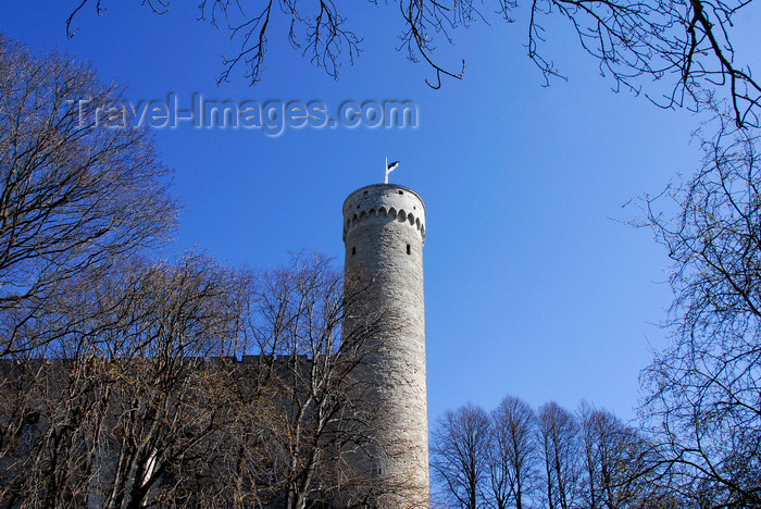 estonia179: Estonia, Tallinn: Pikk Herman - Toompea Castle - photo by J.Pemberton - (c) Travel-Images.com - Stock Photography agency - Image Bank