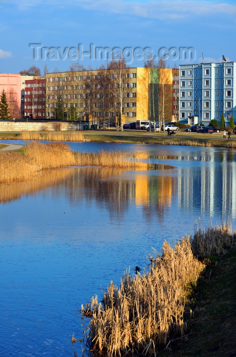 estonia197: Valga, Estonia: reeds on the banks of the Pedeli river, with Soviet period apartment blocks in the background - river reflection - photo by M.Torres - (c) Travel-Images.com - Stock Photography agency - Image Bank