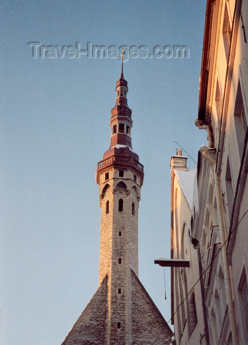estonia29: Estonia - Tallinn: spire of the town hall - photo by M.Torres - (c) Travel-Images.com - Stock Photography agency - Image Bank