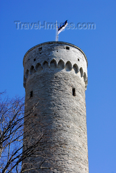 estonia45: Estonia, Tallinn: Tall Hermann tower - Toompea Castle - Estonian flag - photo by J.Pemberton - (c) Travel-Images.com - Stock Photography agency - Image Bank