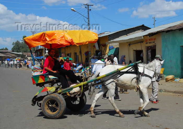 ethiopia214: Gondar, Amhara Region, Ethiopia: horse-drawn taxi - photo by M.Torres - (c) Travel-Images.com - Stock Photography agency - Image Bank