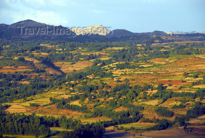 ethiopia234: Gondar, Amhara Region, Ethiopia: rural landscape - photo by M.Torres - (c) Travel-Images.com - Stock Photography agency - Image Bank