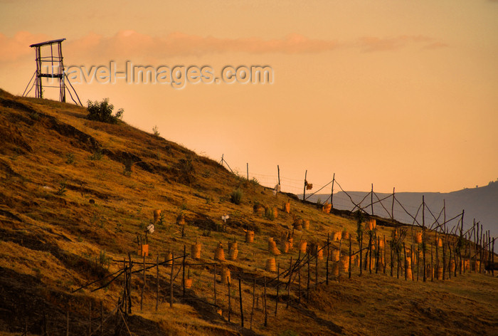 ethiopia235: Gondar, Amhara Region, Ethiopia: army training camp - photo by M.Torres - (c) Travel-Images.com - Stock Photography agency - Image Bank