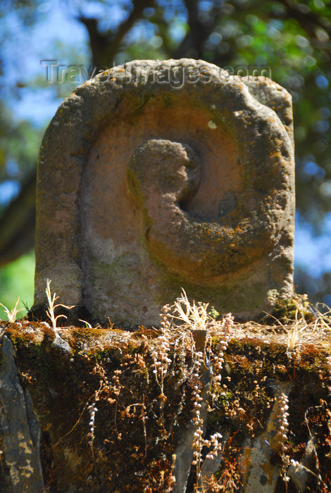 ethiopia259: Gondar, Amhara Region, Ethiopia: Debre Berham Selassie church - lion's tail - photo by M.Torres - (c) Travel-Images.com - Stock Photography agency - Image Bank